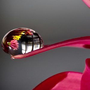 Meet your Posher, Chương